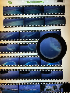 昔はこんなに大変だった！銀塩フィルム時代の水中撮影！
