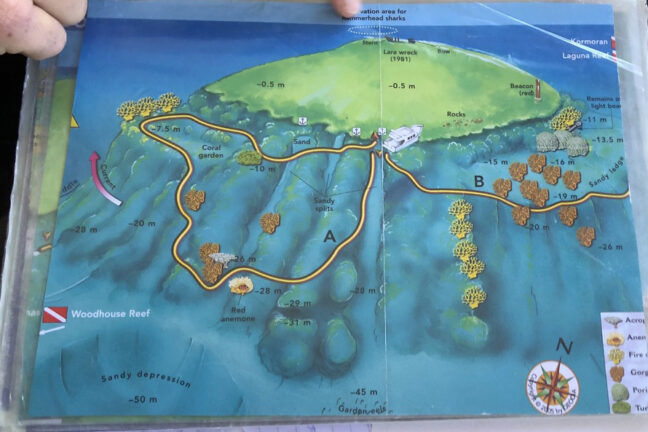 Jackson Reef ポイントマップ